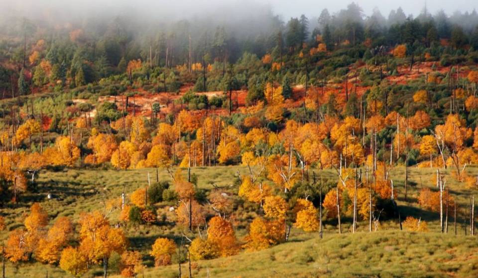 California State Parks named this SoCal landscape among its top 10 fall destinations — with 100 miles of trails through nearly 25,000 golden acres