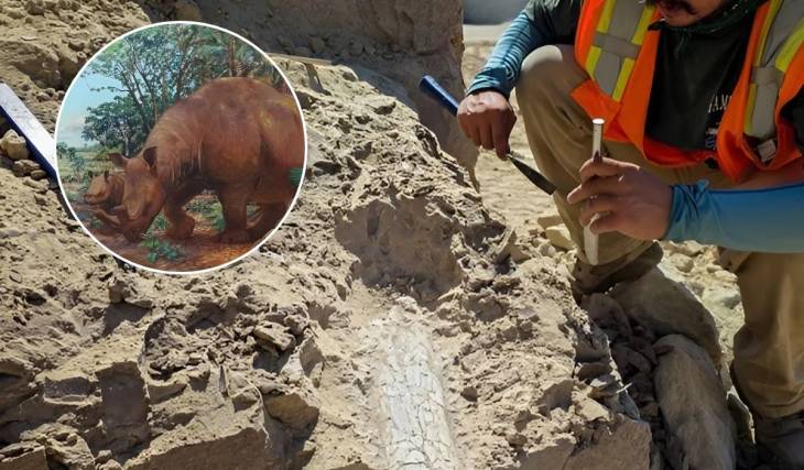 Construction crews found a prehistoric 40 million-year-old ‘Thunder Beast’ fossi