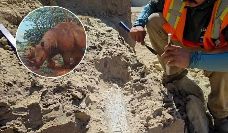 Construction crews found a prehistoric 40 million-year-old ‘Thunder Beast’ fossil just 2 hours from L.A.