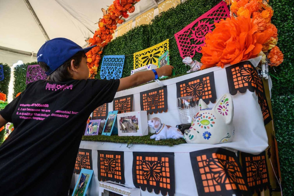 The L.A. Zoo invites visitors to honor lost animal friends at the Beloved Pets Ofrenda for Día de los Muertos