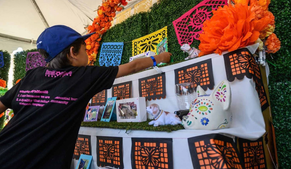 Der L.A. Zoo lädt Besucher ein, verstorbene tierische Freunde bei der „Beloved Pets Ofrenda“ zum Día de los Muertos zu ehren
