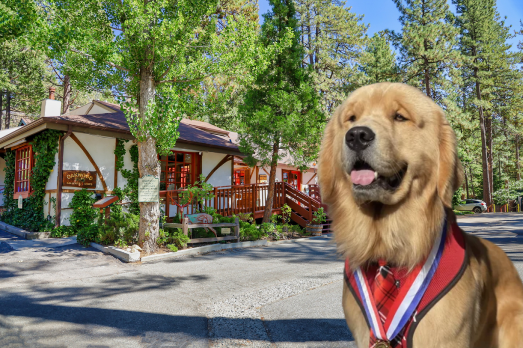 Retrato del alcalde Max y edificios de Idyllwild