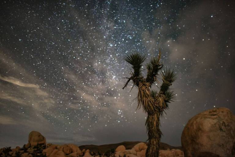 Joshua Tree Event Joshua Tree’s Night Sky Festival returns this weekend with stargazing ...