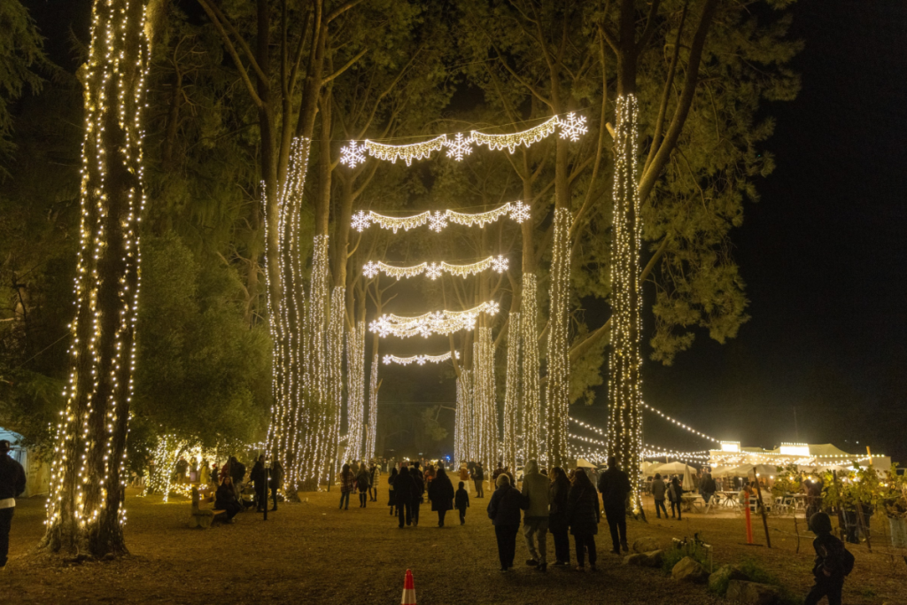 123 Farm Christmas lights