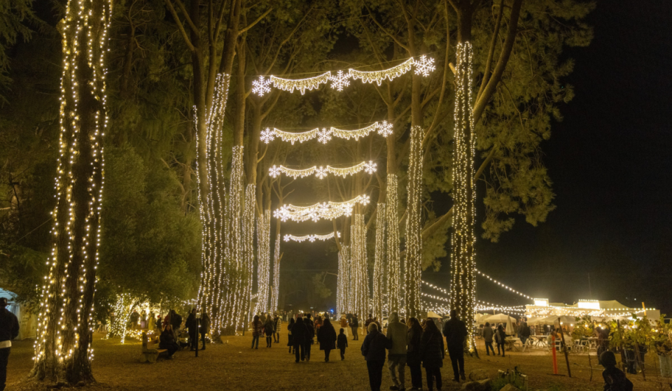1.5 hours from Los Angeles: This Cherry Valley farm is flipping the switch on 1 million holiday lights starting November 5