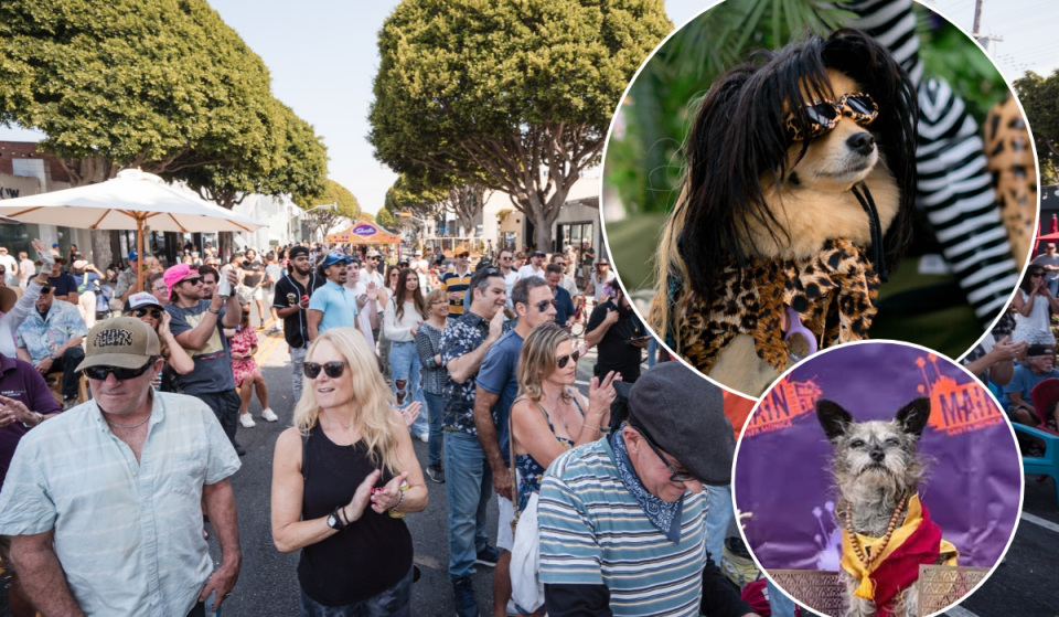 Tausende Hunde werden diesen Monat beim größten Hundefestival Nordamerikas die Main Street in Santa Monica für eine autofreie Blockparty erobern