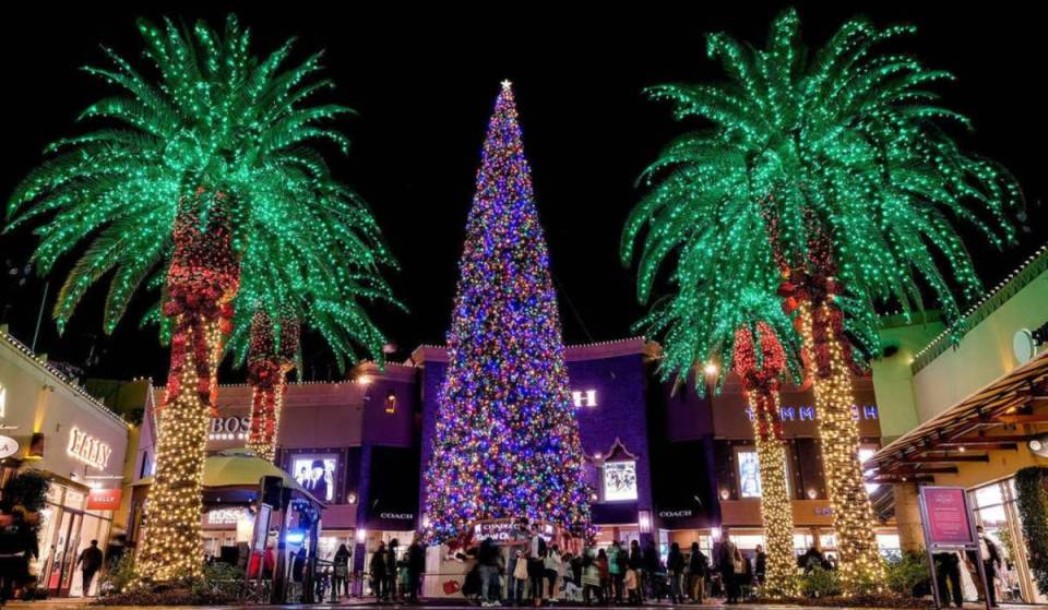 The world’s tallest fresh-cut Christmas tree is traveling 600 miles to L.A. — And Santa Claus will greet its 115-foot arrival today