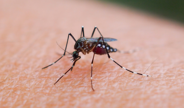 In Kalifornien steigt die Zahl der West-Nil-Virus-Fälle, und in der gesamten Region sind die Mücken weiterhin aktiv