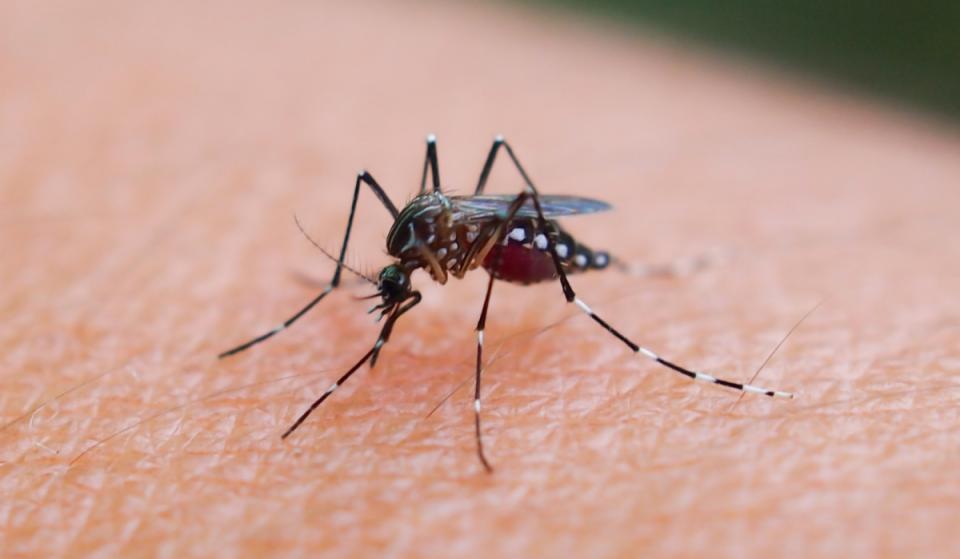 California is seeing a rise in West Nile virus cases, and mosquitoes are still active across the region