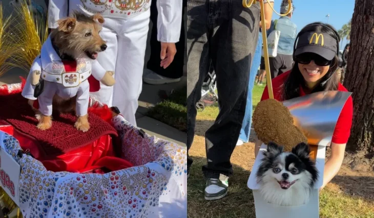 Over 350 costumed dogs are taking over Long Beach this Saturday for the 25th annual ‘Haute Dog Howl’oween’ parade