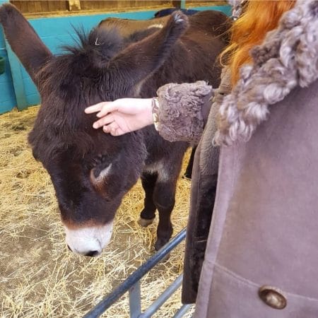 105 Fantastic Free Things To Do In Manchester - Secret Manchester