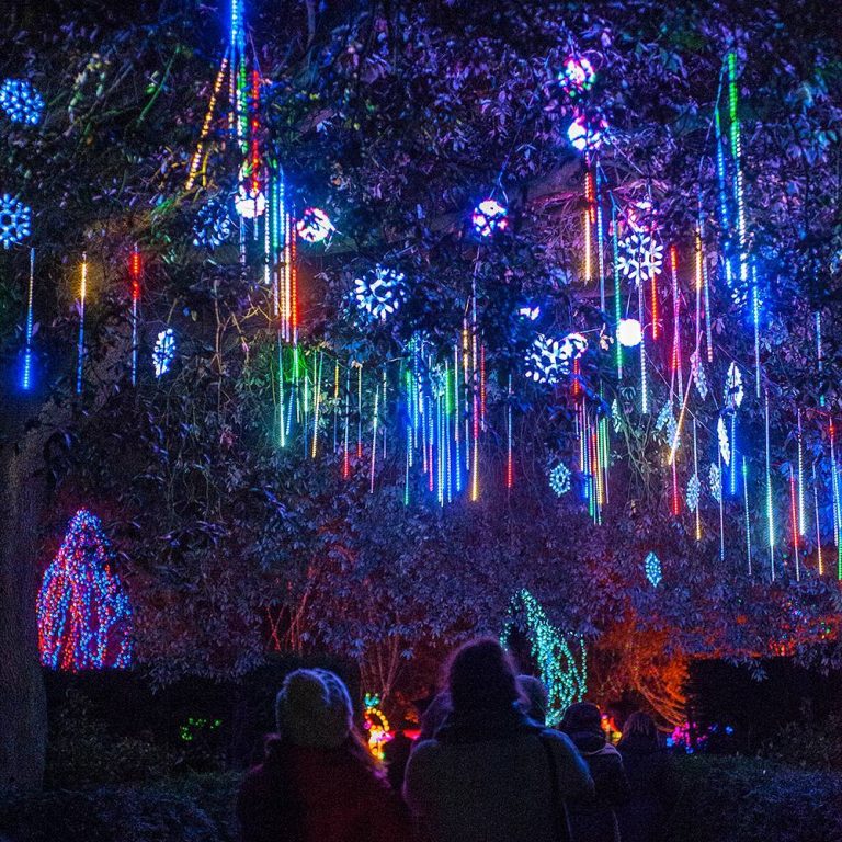 Europe's Biggest Lantern And Light Festival Has Launched In Manchester
