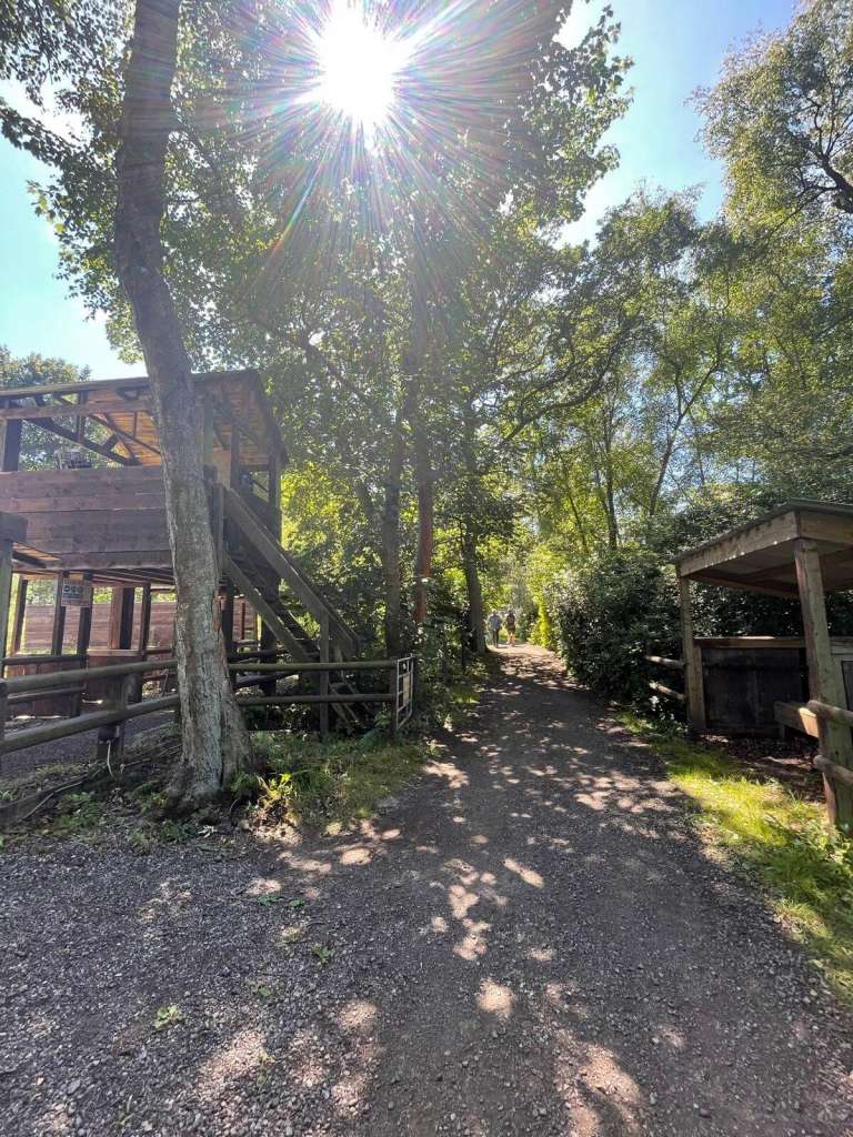 manchester clay pigeon shooting grounds