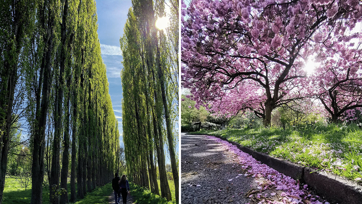 Fletcher Moss Botanical Gardens Is Perfect For Stressed Mancunians