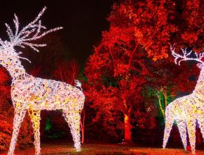 The Best Places To See Twinkling Christmas Lights In And Around Manchester This Festive Season &#8211; From Illuminating Winter Wonderlands To Gorgeous Glowing Gardens
