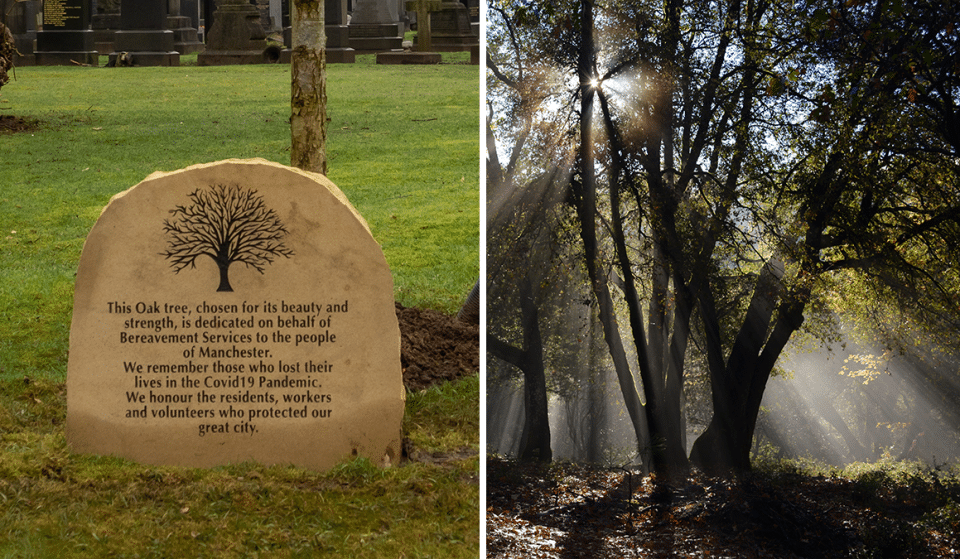 Trees Are Being Planted Across Manchester In Honour Of The City’s COVID-19 Victims