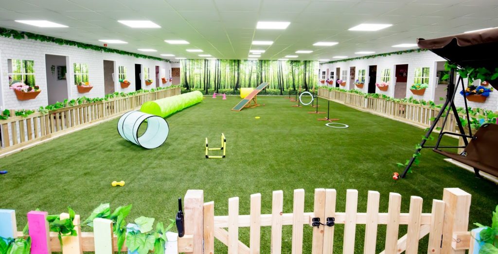 No More Kennels The Luxury Dog Hotel & Spa Near Manchester