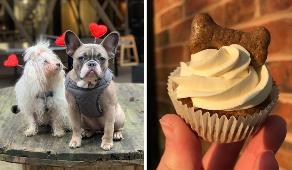 The Marvellous New Manchester Bakery That’s Also Serving Up Sweet Treats For Your Dog