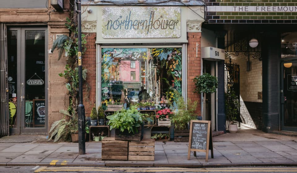 6 Of The Best Plant Shops In Manchester To Feed Your Green Obsession
