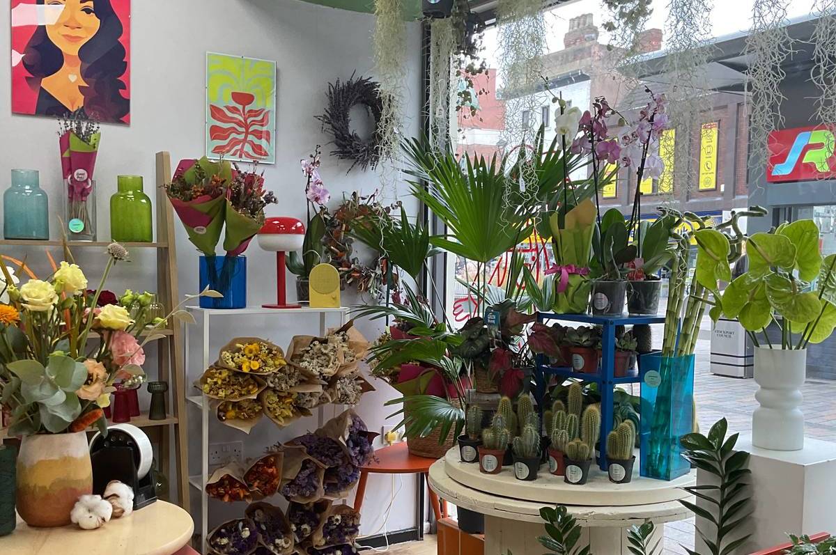 sweet bud florals plant shop stockport