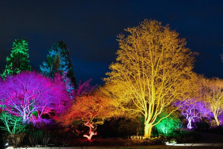 RHS Bridgewater Glow The Sparkling Event Returns For 2022