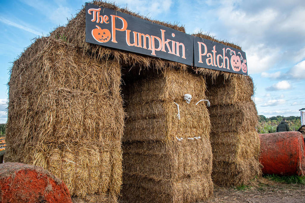 dunham massey pumpkin patch entrance hay bales