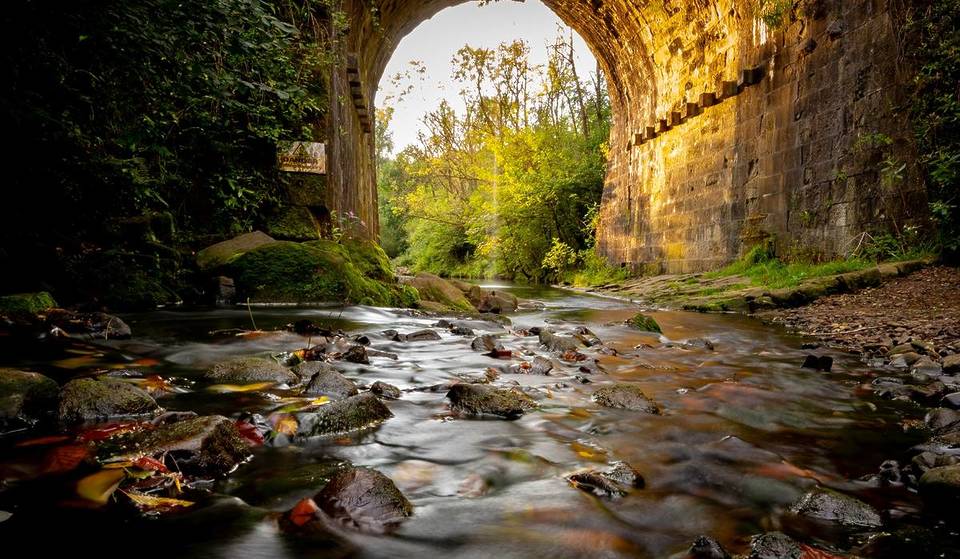 8 Of The Most Wonderful Woodland Walks In And Around Manchester To Discover – Including One Of The UK’s Largest Winter Gardens & Hidden Fairytale Spots