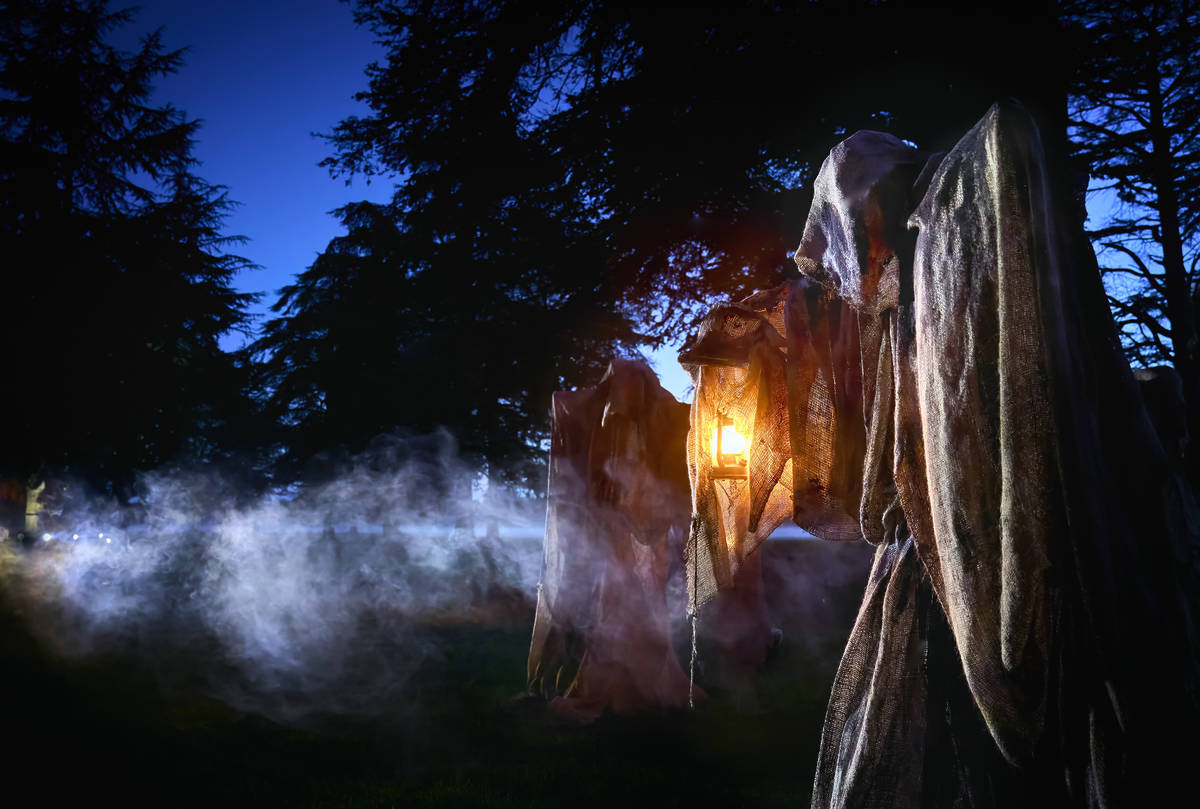 ghost in forest at halloween at quarry bank trail