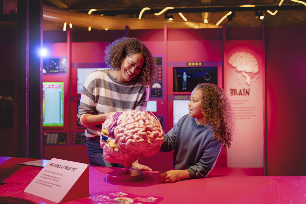 science and industry museum brain exhibition