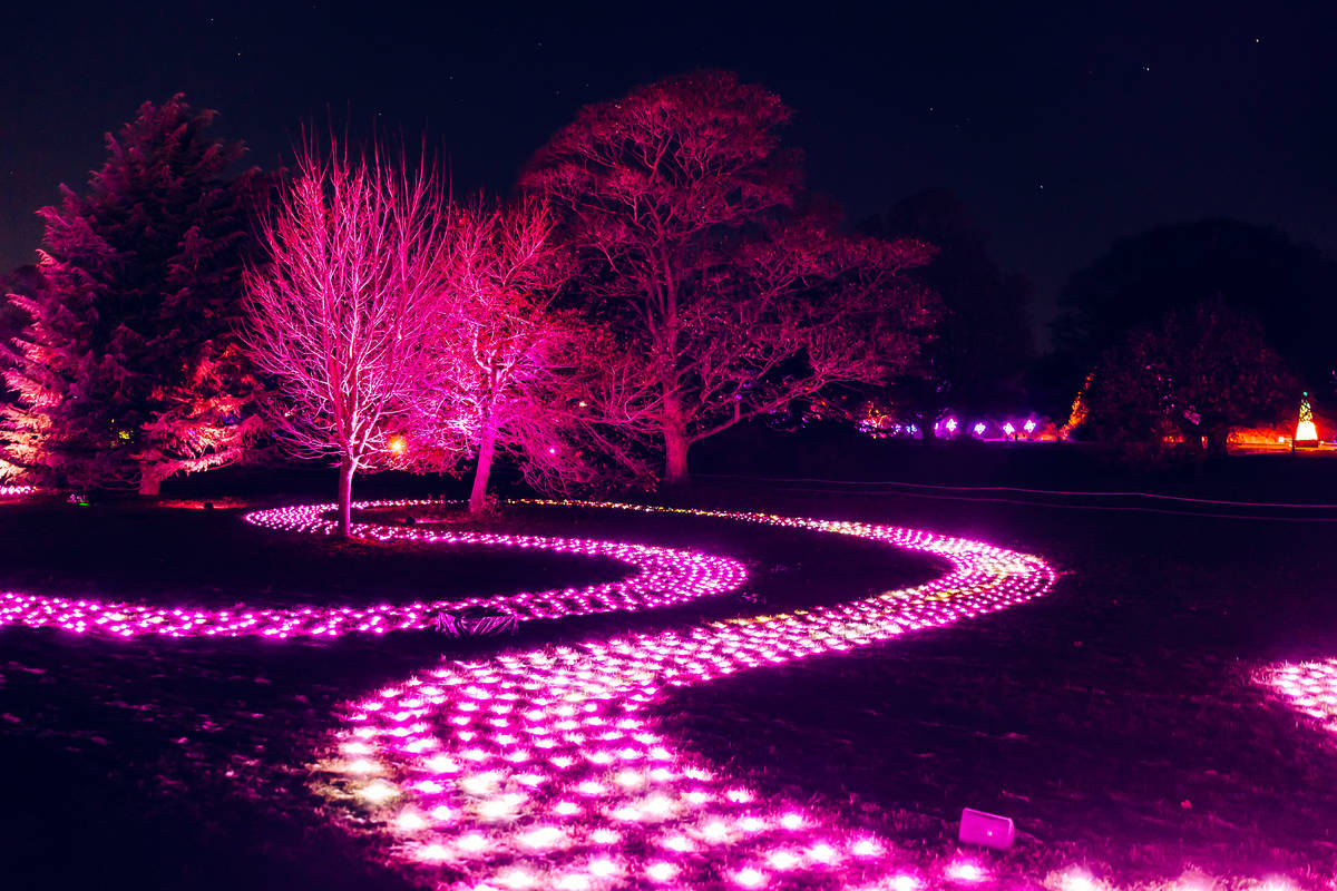northern lights light trail with pink lpath lit up