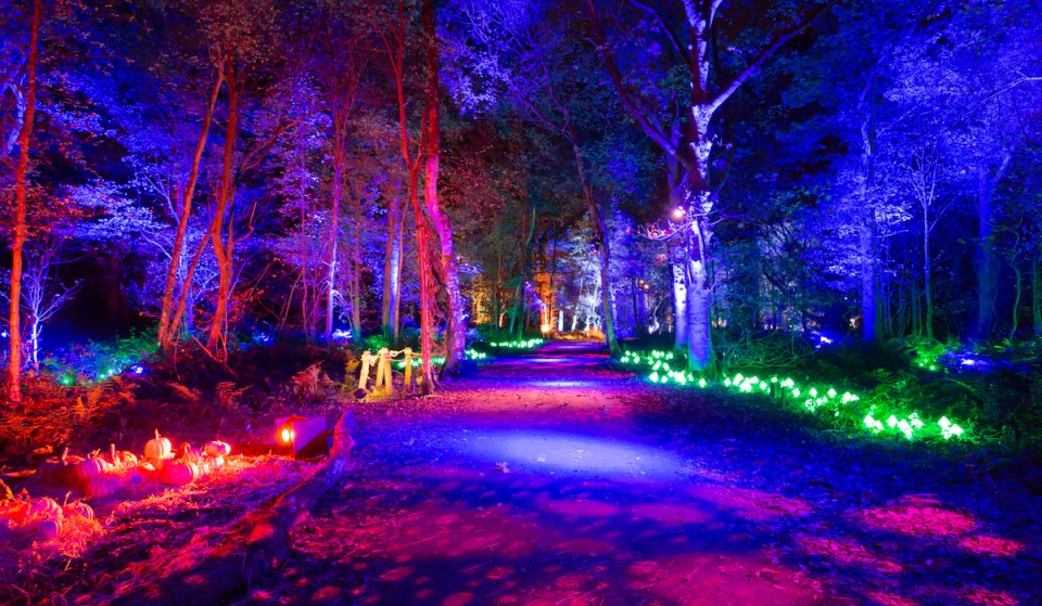 Tickets Are Now On Sale For This Year’s ‘Harry Potter: A Forbidden Forest Experience’