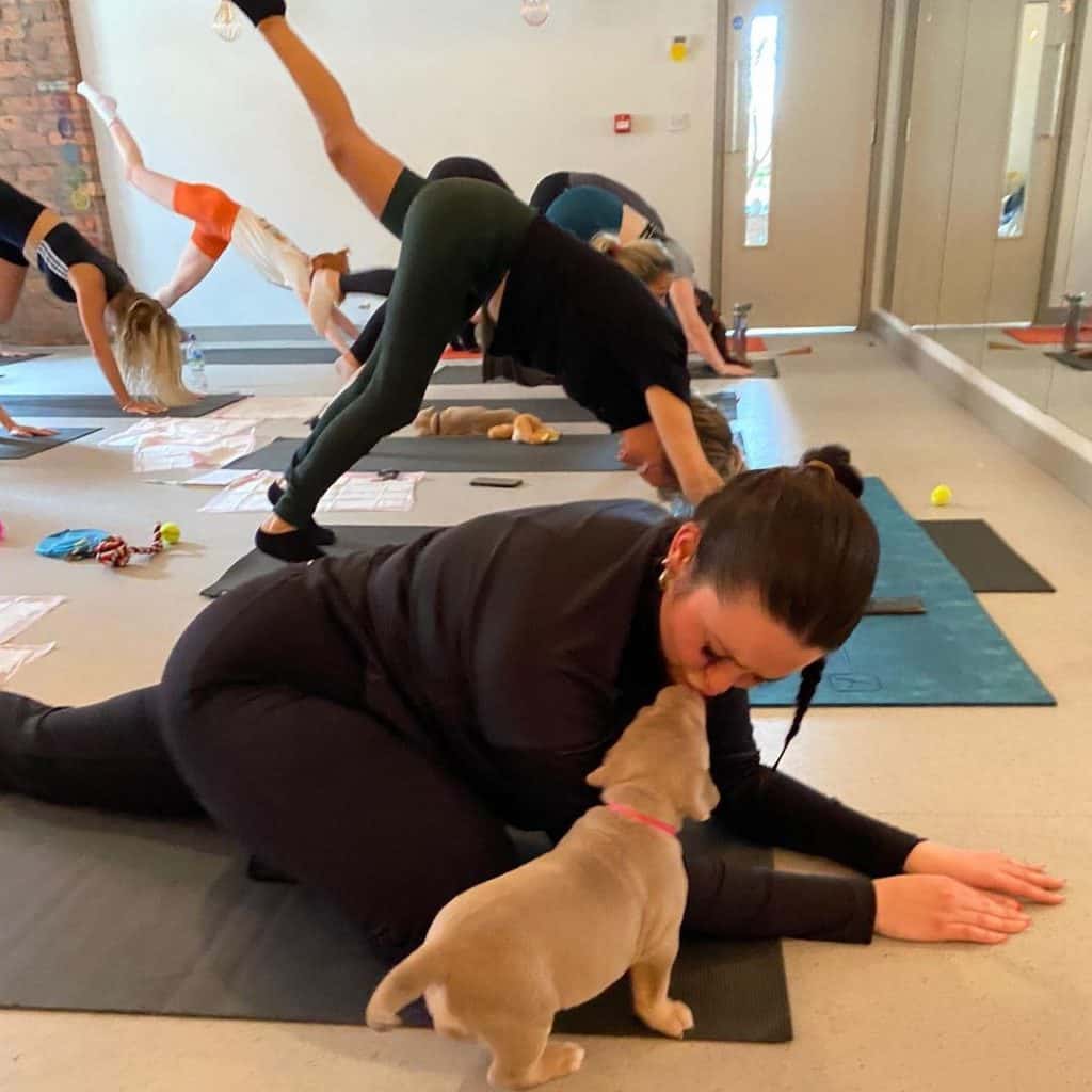 Puppy Yoga Is Coming To Manchester And It Sounds Like The Only Therapy