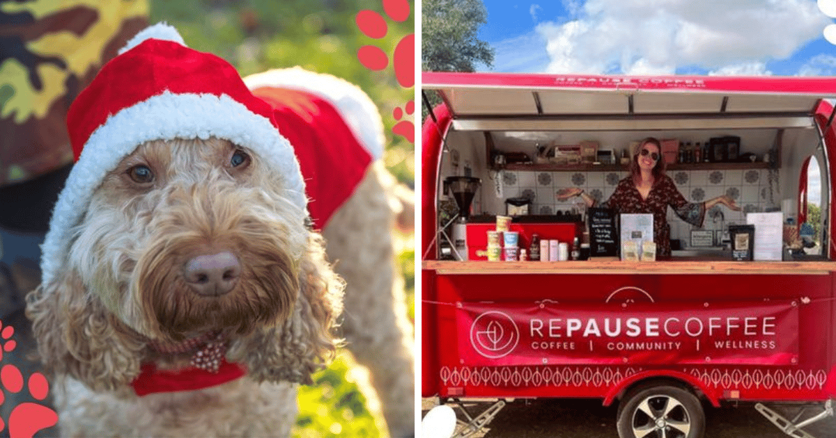 A FurBulous Festive Market For Dogs Is Coming To Manchester