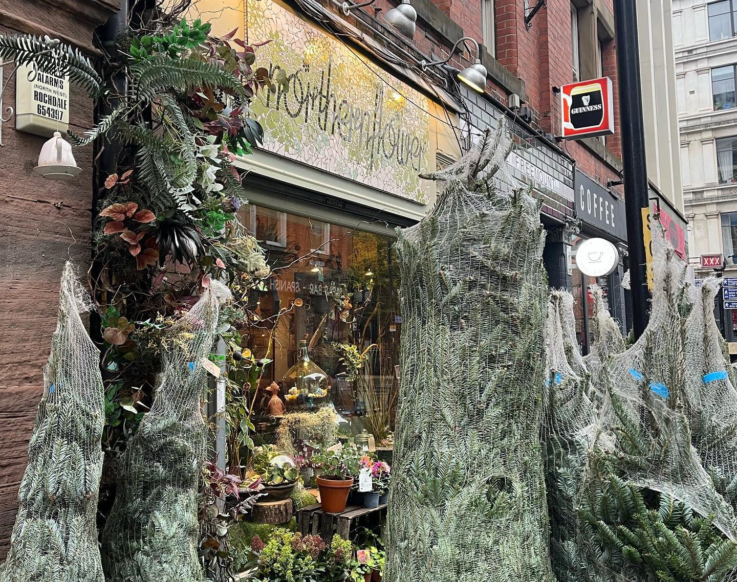 17 Top Places To Buy Christmas Trees In And Around Manchester