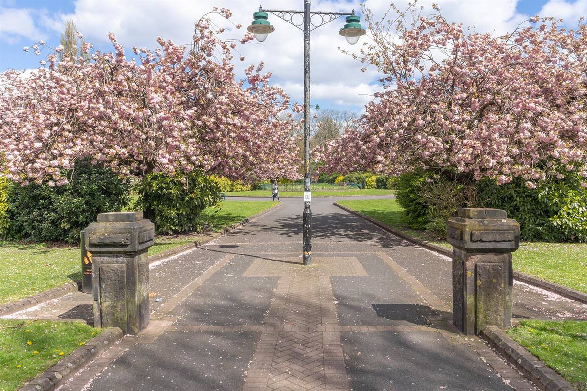 hullard park old trafford entrance blossom