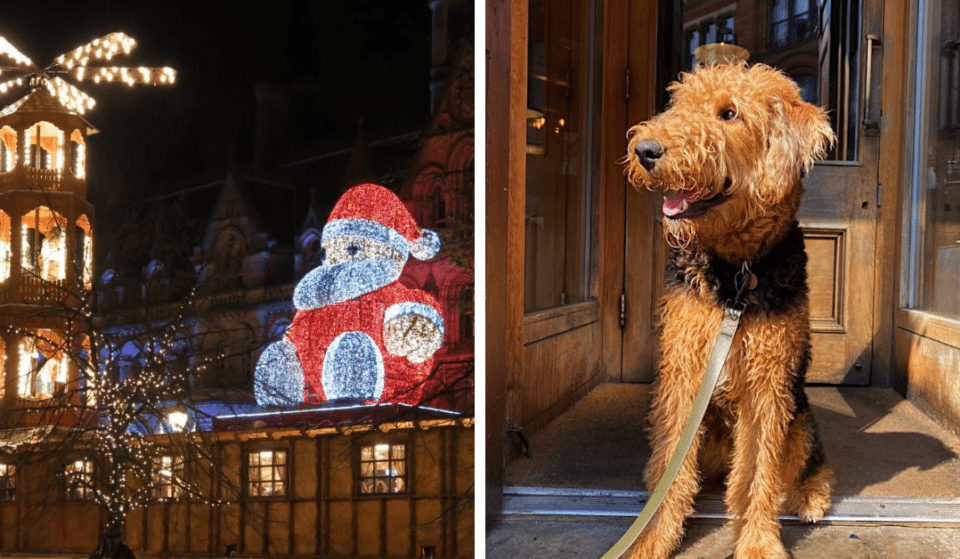 Manchester Christmas Markets Crowned One Of The Most Dog-Friendly In The UK