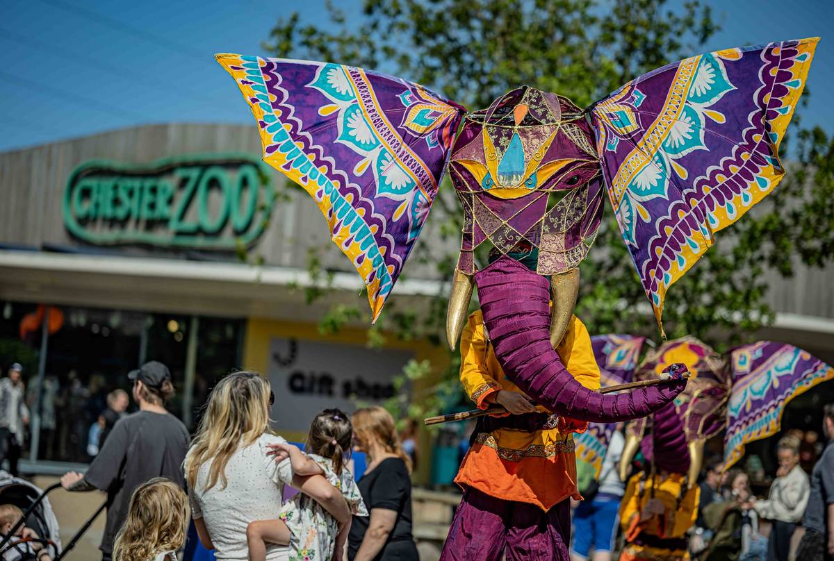 Theatrical performances, acrobats, jugglers and stilt walkers will roam the zoo during Afterglow at Chester Zoo
