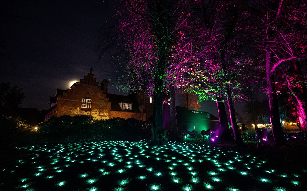 first look at chester zoo magical lanterns light trail