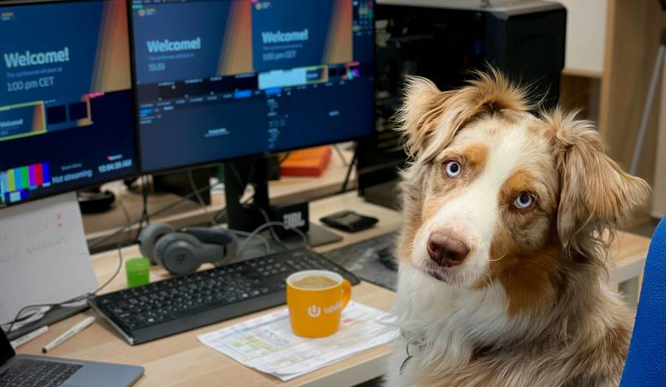 This Manchester Workspace Is Hosting A ‘Bring Your Dog To Work Day’ To Lift Spirits This Blue Monday