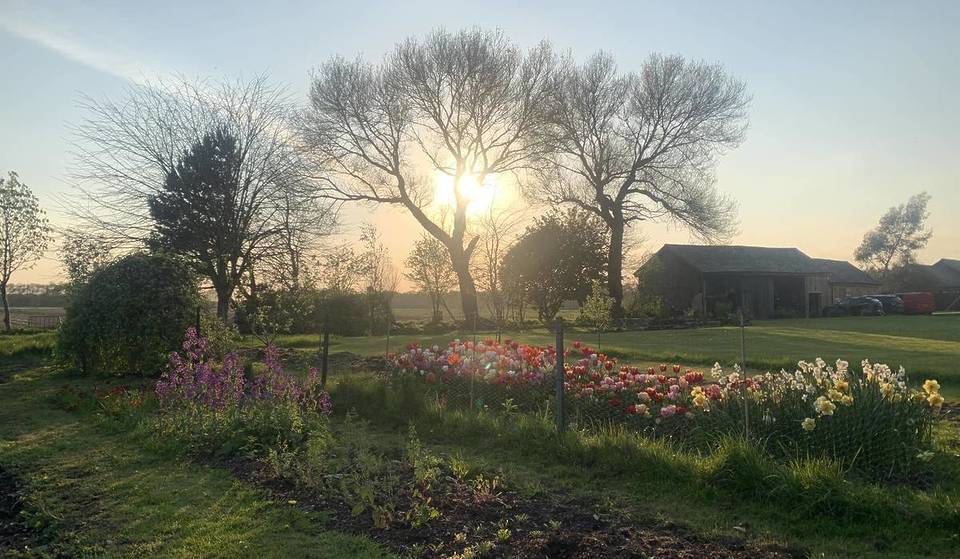 You Can Pick Your Own Colourful Spring Tulips At This Gorgeous Greater Manchester Farm