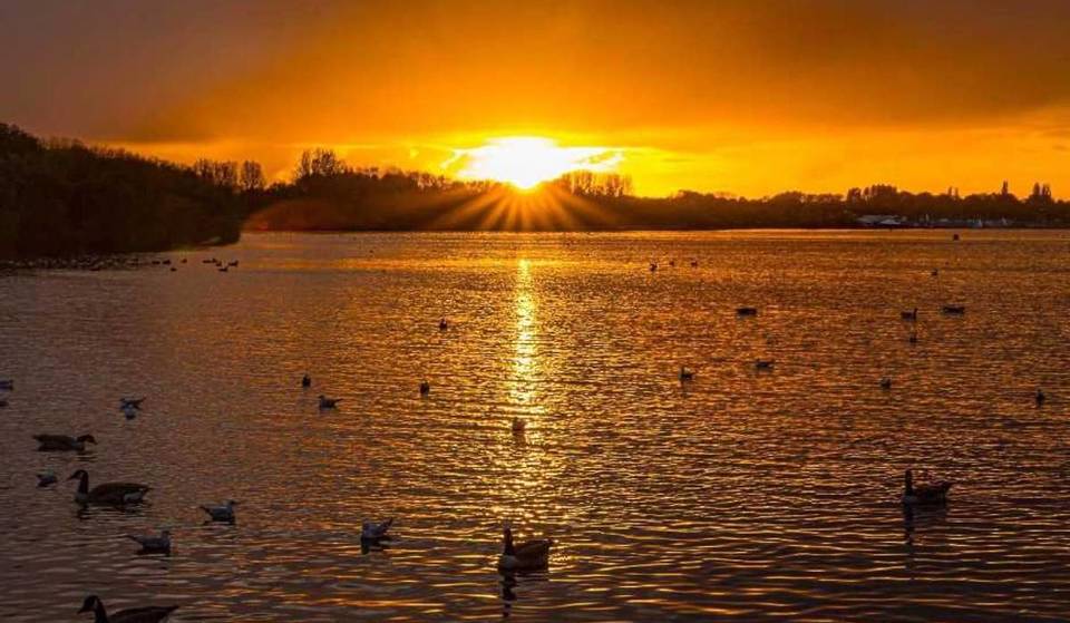 Once an industrial mining site, this 70-hectare lake was Greater Manchester’s first National Nature Reserve, just 40 minutes from the city centre — offering year-round open-water swimming &amp; scenic walks