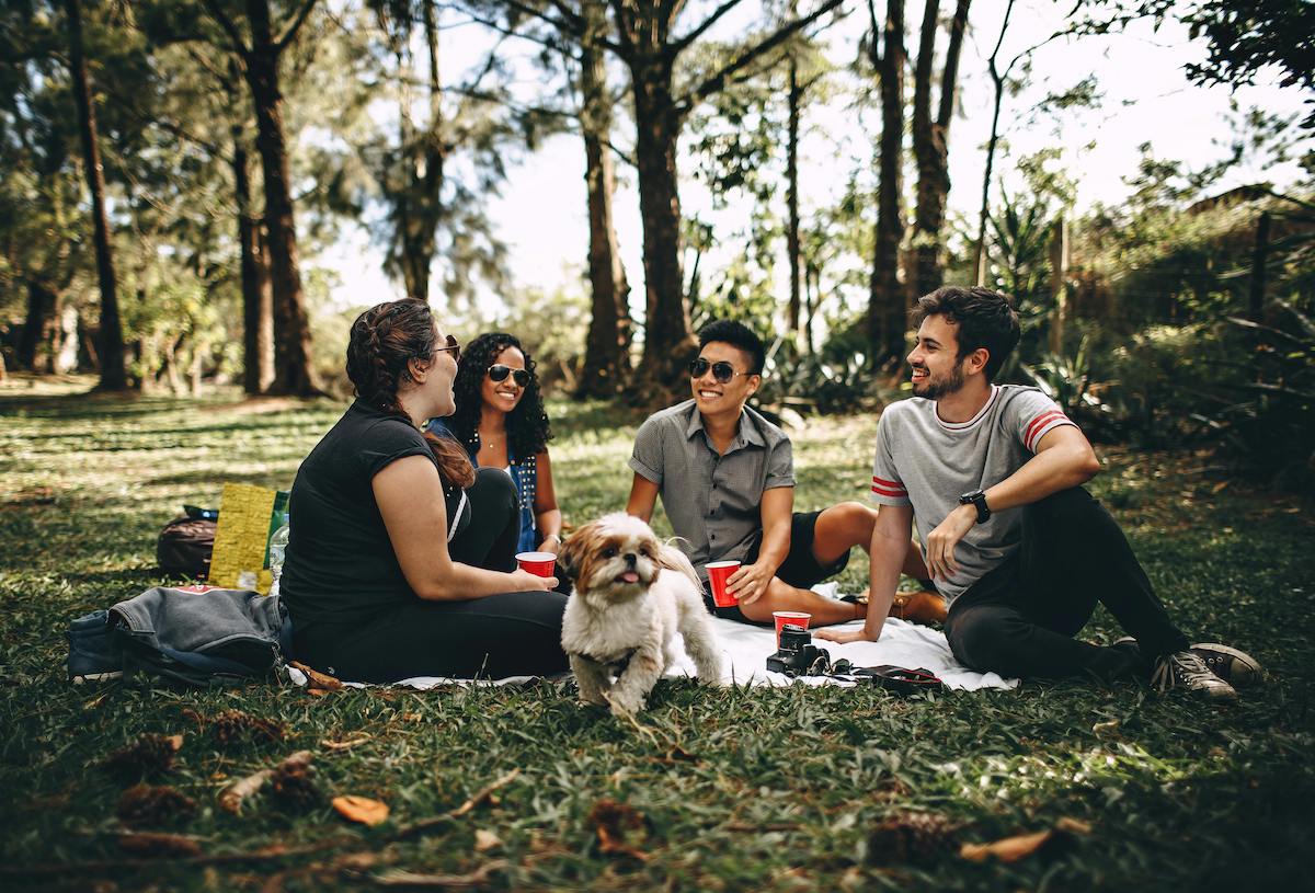 a group of four friends have a picnic in the park with their small white dog