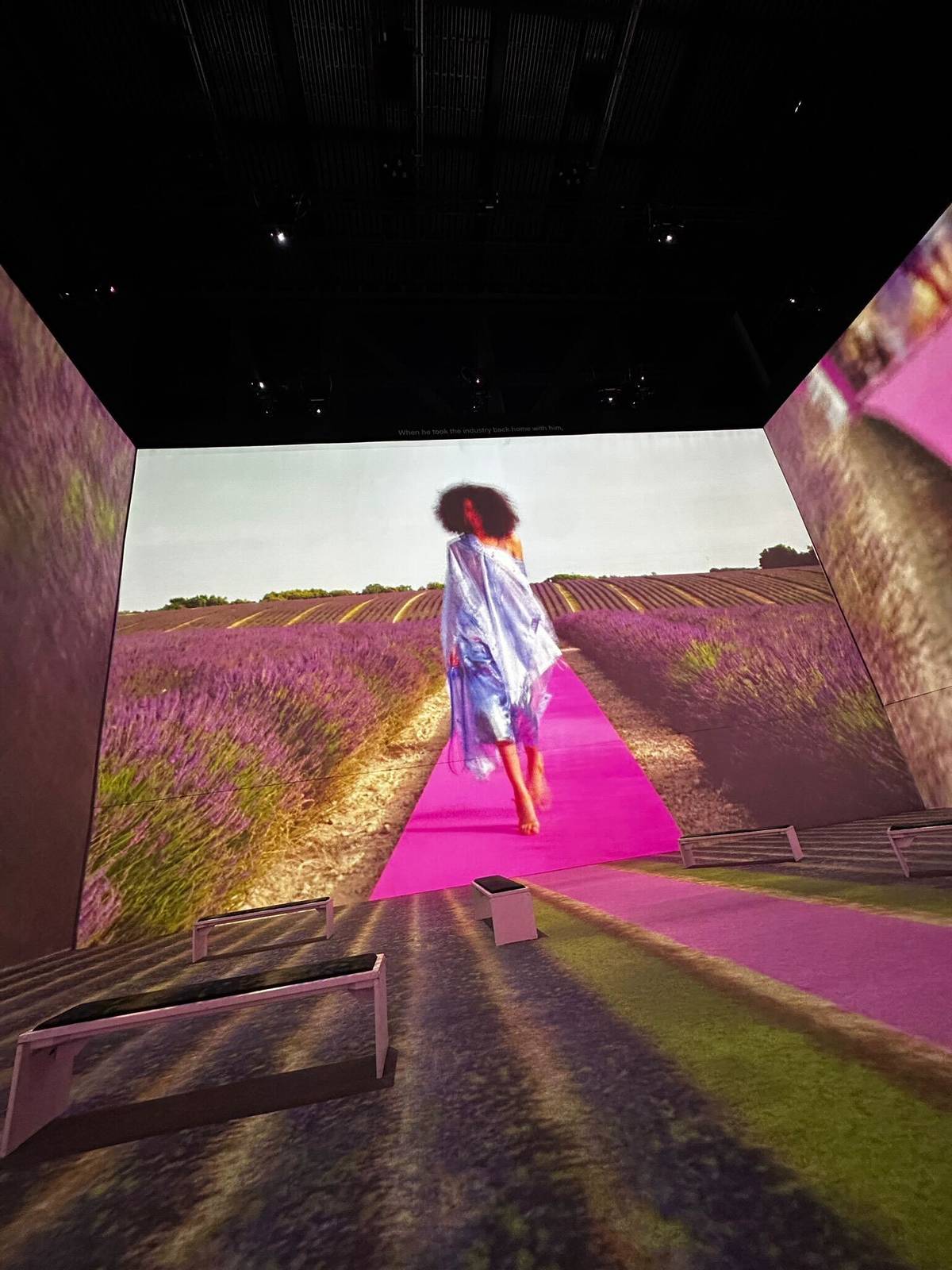 projection of model walking through lavender fields