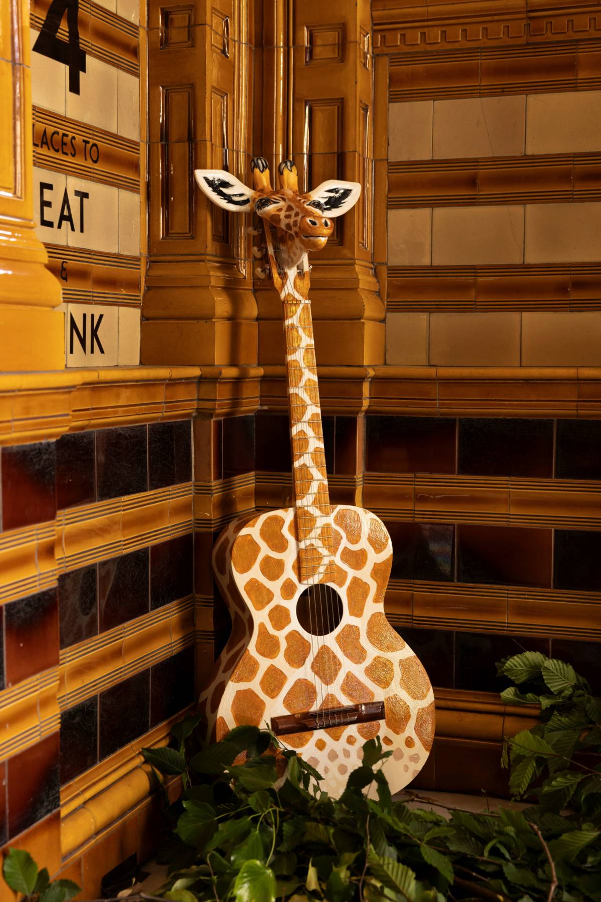 giraffe acoustic guitar for music for the senses