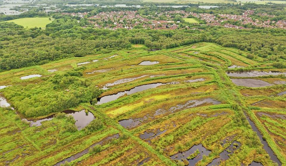Historic Greater Manchester Peatlands At The Heart Of The Industrial Revolution To Become New National Nature Reserve &#8211; And It&#8217;s The Size Of 25 Trafford Centres
