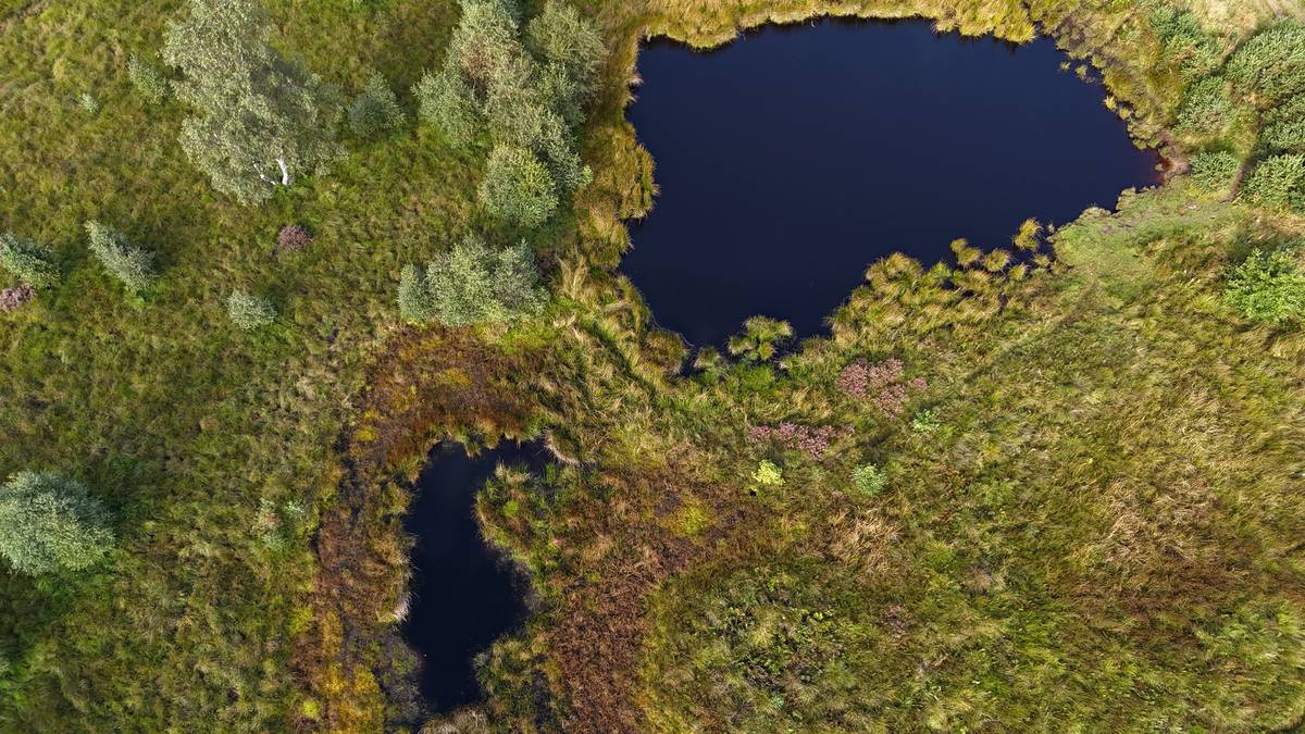 highfield moss wetland fromabove part of new nature reserve in greater manchester