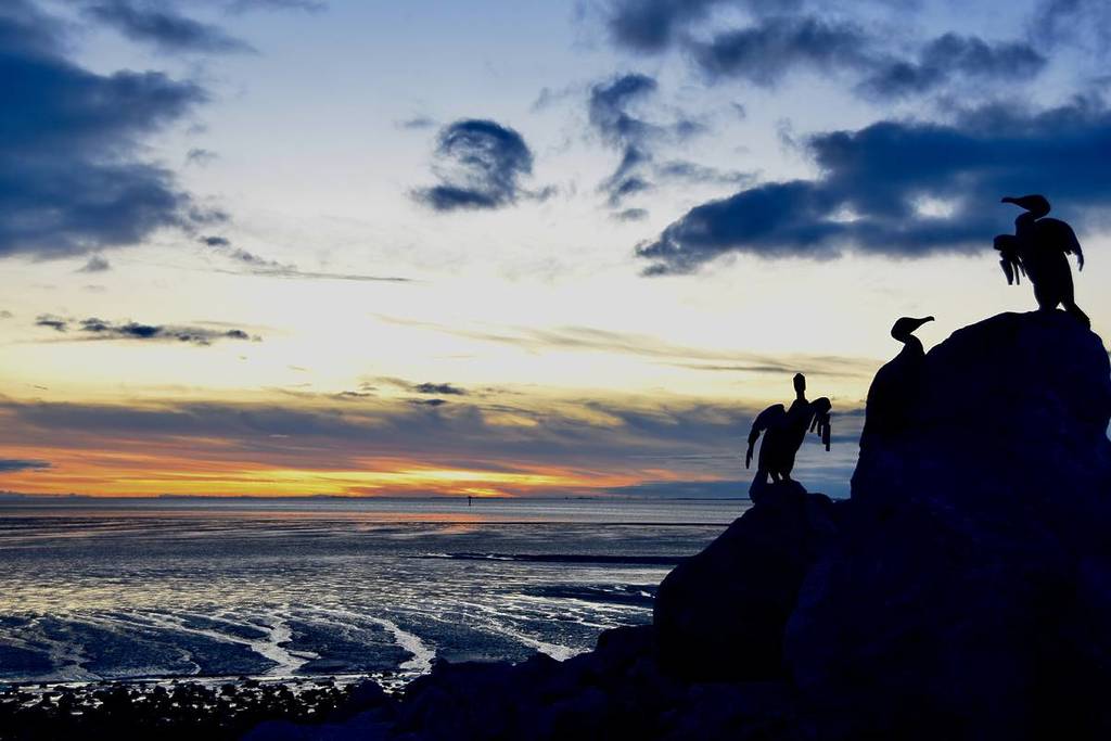 Morecambe bay, Lancashire, Cormorant statues image
