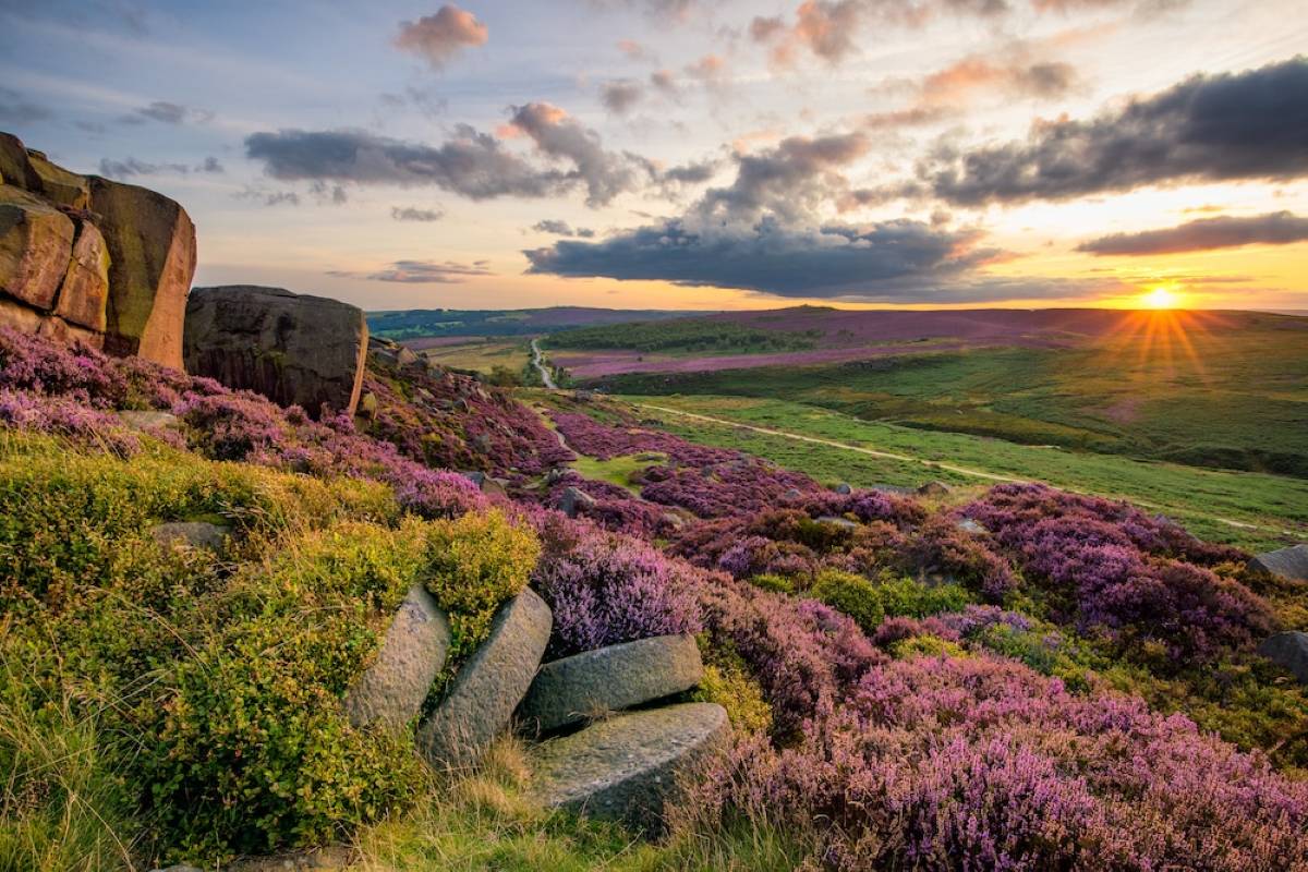 peak district hill heather with sunrise in background