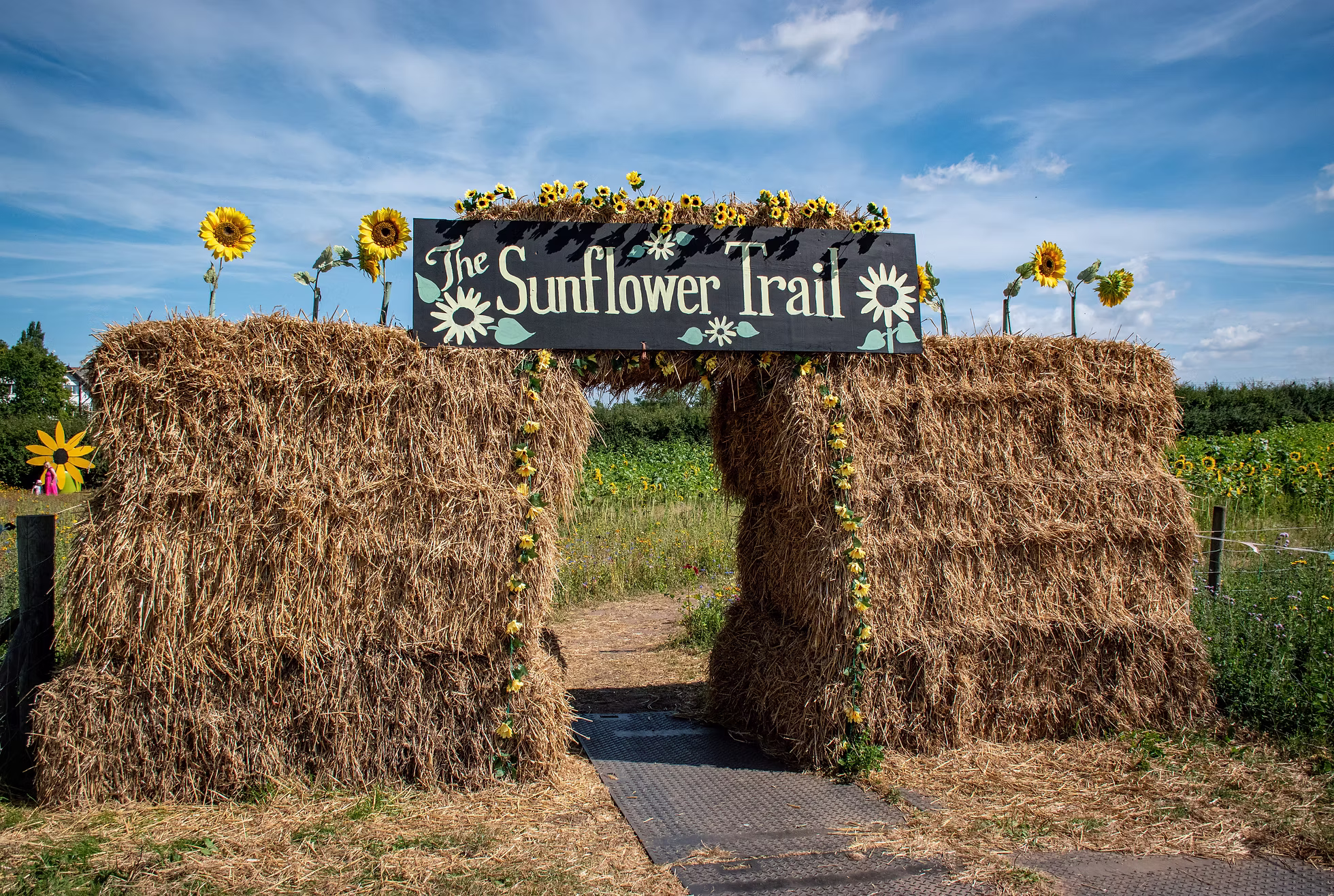 dunham massey sunflower trail entrance with hay bales and signs