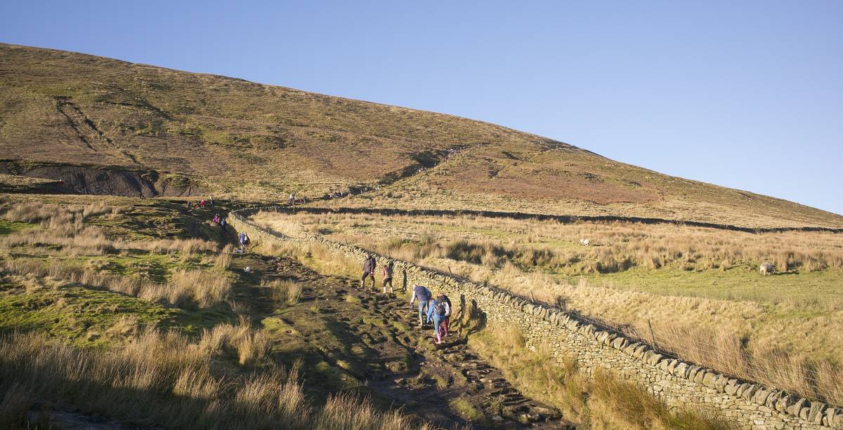 walkers ascending pendle hill in sun